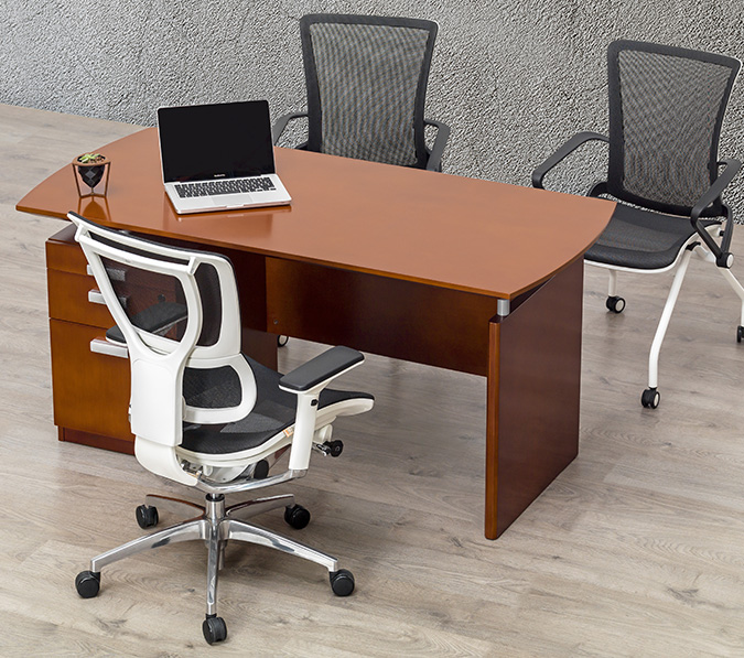 Escritorio Tempo -  Roche 11